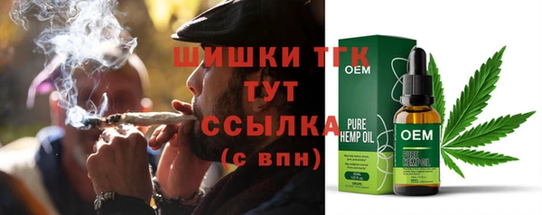 гашик Богородицк