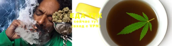 ECSTASY Белокуриха