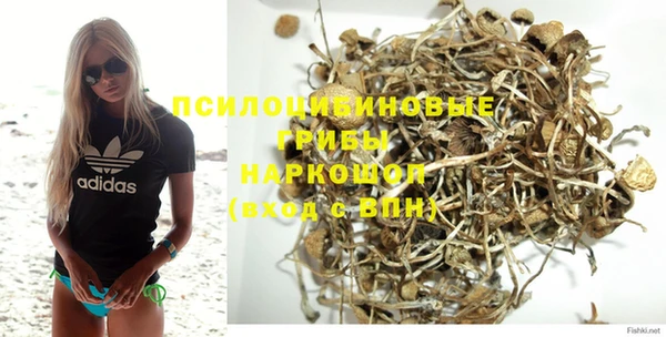 гашик Богородицк