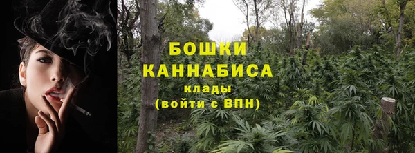 ECSTASY Белокуриха
