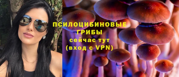 ALPHA PVP Богданович