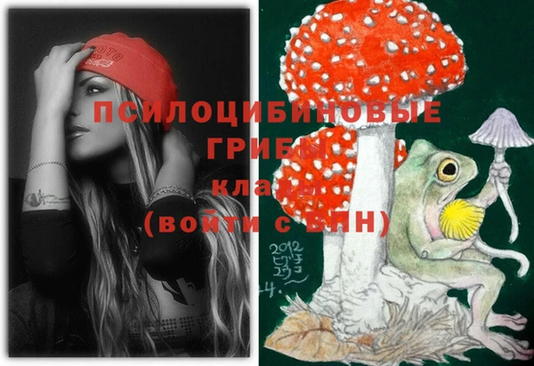 гашик Богородицк