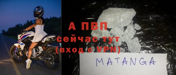 ECSTASY Белокуриха