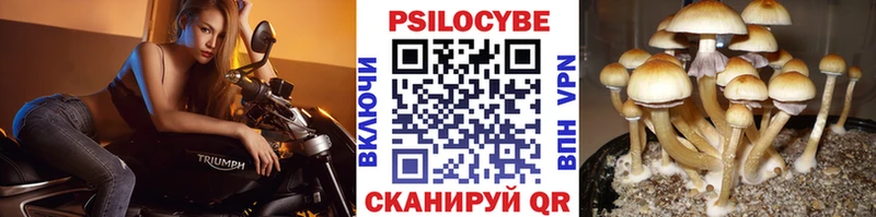 где купить наркоту  Великий Устюг  мега как войти  Галлюциногенные грибы Magic Shrooms 